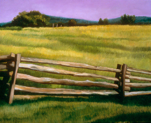 Country Grasses with Split Rail Fence